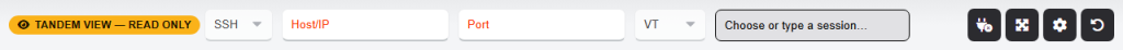 webterm-tandem-badge-070c6053 The toolbar of a tandem Watch tab: the TANDEM VIEW — READ ONLY badge, with the connection fields disabled