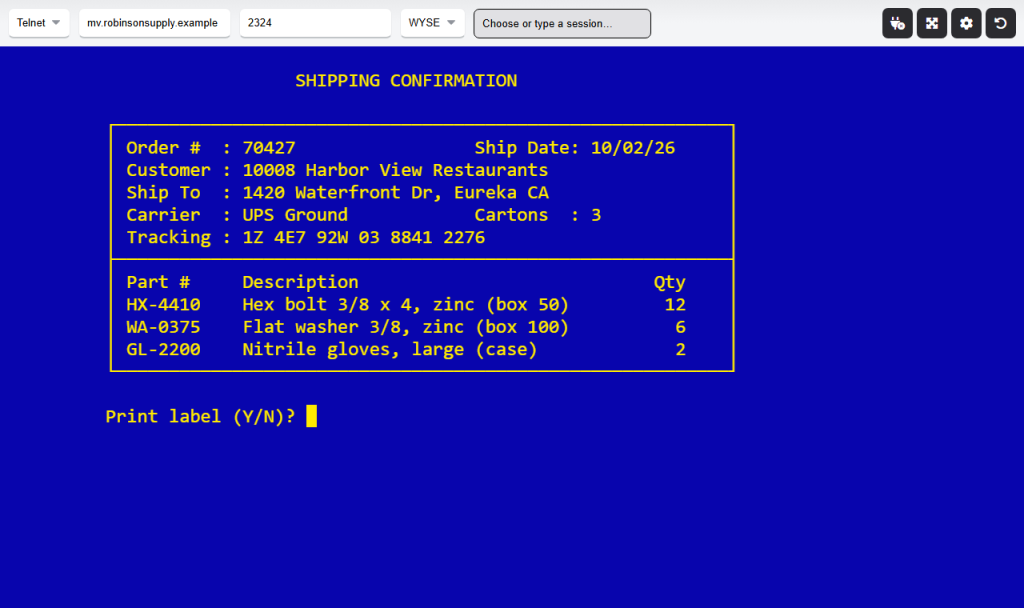webterm-wyse-graphics-fe959b68 A WYSE host screen drawn with graphics-mode box lines and T-junctions
